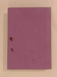 Сцены частной жизни, 1981