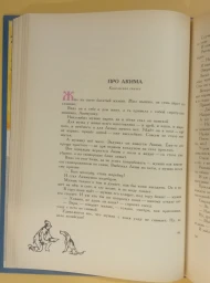 В тридевятом царстве, в тридесятом государстве, 1991