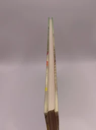Цветочные фантазии из бисера, 2007