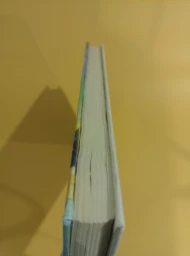 Мешок со страхами и другие невероятные истории, 1997