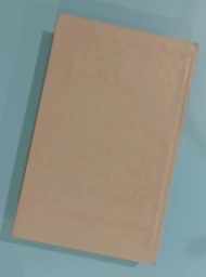 Финансист, 1992