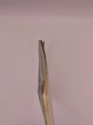 Горячий камень, 1976
