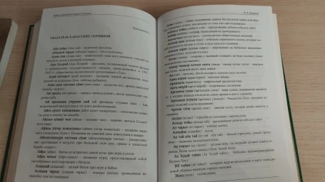 Будни и праздники тюрков Хонгорая
