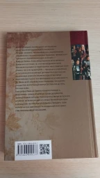 Последний странствующий рыцарь