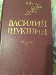 Мастера русской прозы ХХ века